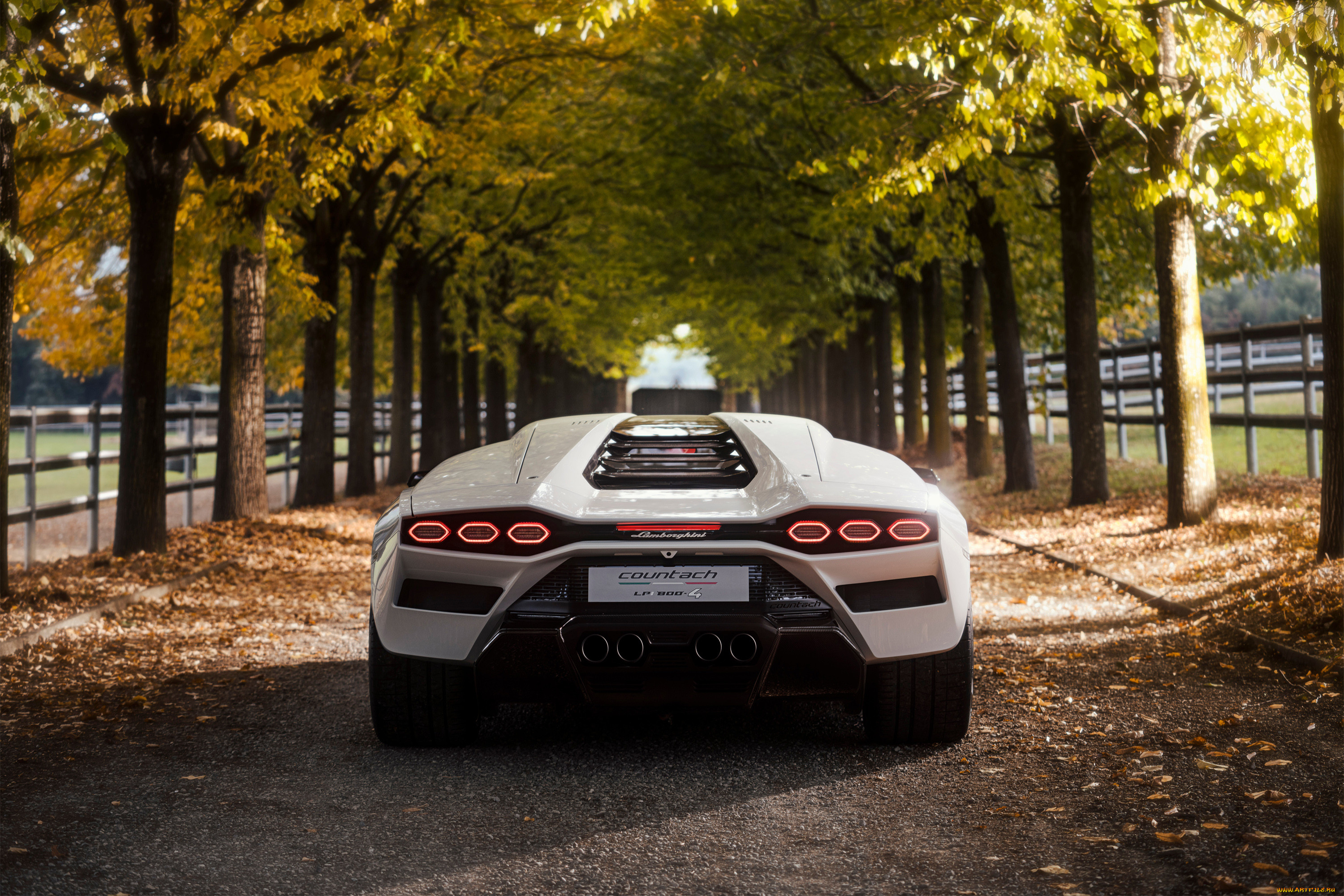 , lamborghini